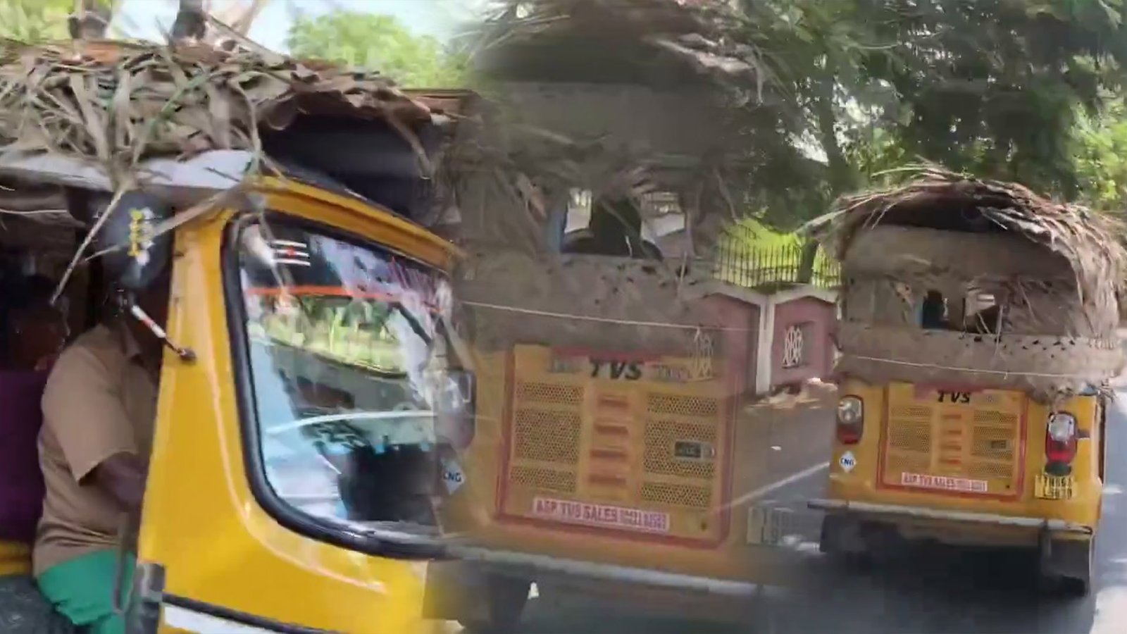 ஏசி-யே தோத்துடும்! ஆட்டோ மேற்கூரையில் தென்னங்கீற்றுகள்: வெயிலை வெல்ல தமிழக ஓட்டுநரின் 'கிளாசிக்' ஐடியா!