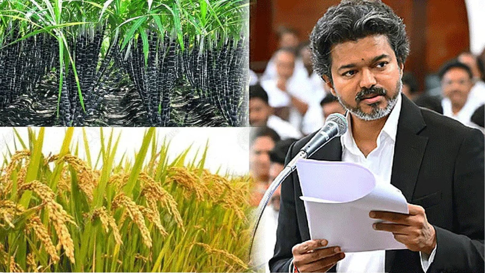 நெல், கரும்பு கொள்முதலுக்கான ஊக்கத்தொகை உயர்வு: சட்டசபையில் முதலமைச்சர் விஜய் அறிவிப்பு