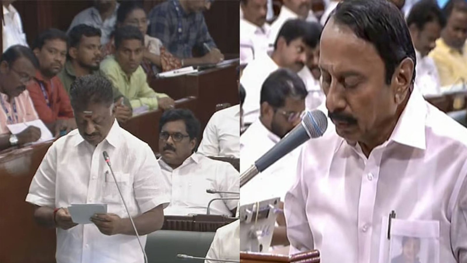 பாக்கெட்டில் யார் படம்? ஓபிஎஸ் - செங்கோட்டையன் இடையே காரசார விவாதம்