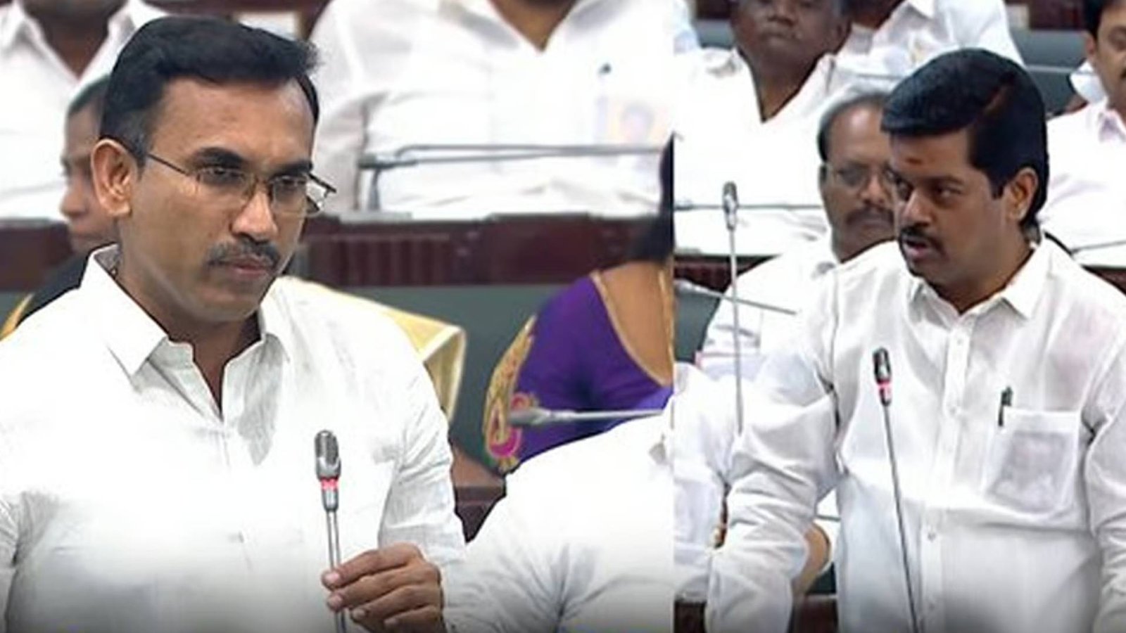 தமிழகத்தில் பன்றிக் காய்ச்சல் பரவல் – அமைச்சர் அருண்ராஜ் விளக்கம்