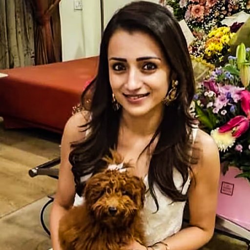 நடிகை திரிஷா வீட்டுக்கு வெடிகுண்டு மிரட்டல்: தேனாம்பேட்டையில் பரபரப்பு!