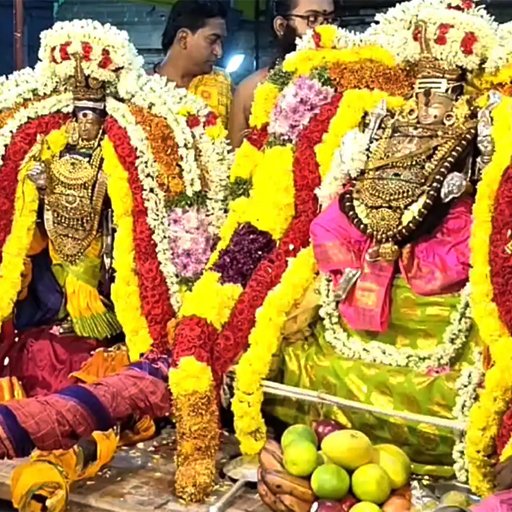 திருக்கடையூர் அமிர்தகடேஸ்வரர் கோயிலில் கோலாகலமான திருக்கல்யாண வைபவம்: திரளான பக்தர்கள் சாமி தரிசனம்!