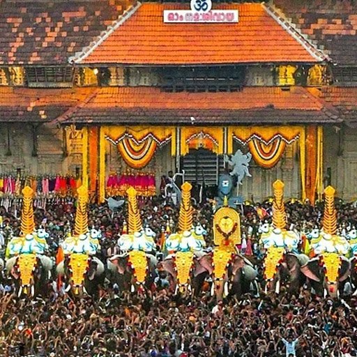 திருச்சூர் பூரம் 2026: கேரளாவின் கலாச்சாரத் தலைநகரில் களைகட்டிய மகா திருவிழா - லட்சக்கணக்கான பக்தர்கள் திரண்டனர்!