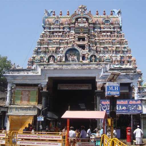 நெல்லையப்பர் கோயிலில் வருஷாபிஷேக விழா: 1008 சங்குகள் முழங்கச் சிறப்பு வழிபாடு - ஆயிரக்கணக்கான பக்தர்கள் தரிசனம்!