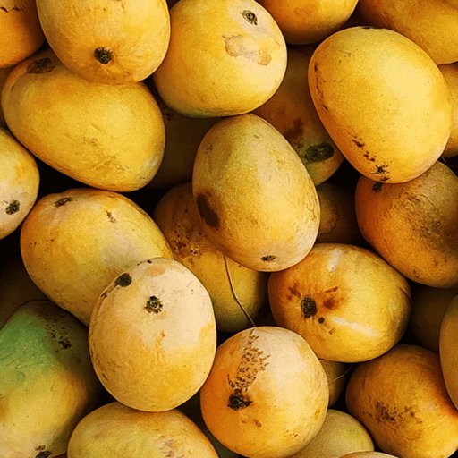 மாம்பழ பிரியர்களே உஷார்! செயற்கையாக பழுக்க வைத்தால் ₹5,000 அபராதம் - வியாபாரிகளுக்கு உணவு பாதுகாப்புத்துறை அதிரடி எச்சரிக்கை!