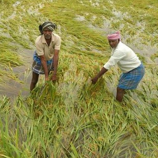 நிபந்தனையற்ற முழு தள்ளுபடி எங்கே?" - தவெக அரசின் அடுக்குமுறைப் பயிர்க்கடன் தள்ளுபடி அறிவிப்புக்கு விவசாயிகள் சங்கம் கடும் அதிருப்தி!