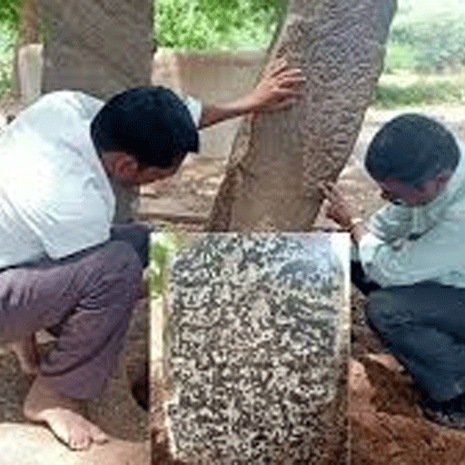 மதுரையில் வரலாற்றுப் புதையல்! சக்குடி கிராமத்தில் 13ஆம் நூற்றாண்டைச் சேர்ந்த 'ஆசிரியம்' பாண்டியர் காலக் கல்வெட்டு கண்டறிப்பு! ஆய்வாளர்கள் நெகிழ்ச்சி!