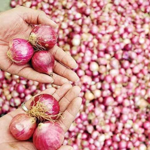71% உயர்ந்த வெங்காய விலை: கோயம்பேடு மார்க்கெட்டில் கிலோ ரூ.60-க்கு விற்பனை!