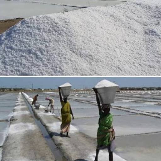 கடும் வெயில் எதிரொலி: தூத்துக்குடியில் தீவிரமடையும் உப்பு உற்பத்தி! உற்பத்தியாளர்கள் மகிழ்ச்சி!