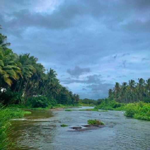 ஆனைமலையாறு - நல்லாறு பாசன திட்டம்: தமிழக அமைச்சர்கள் குழுவின் கேரள பயணம் ஒத்திவைப்பு!
